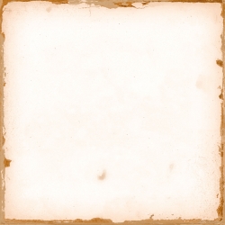 Peronda White — 5169 руб