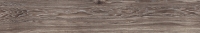 Venis Minnesota Moka V52500101 — 5122.5 руб