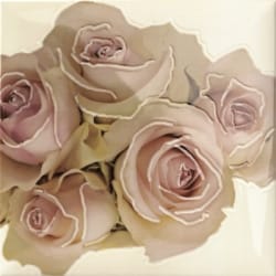 Mainzu Decor Cuore (9 видов) — 3417 руб