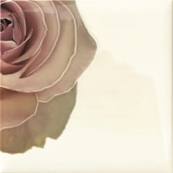 Mainzu Decor Cuore (9 видов) — 3417 руб