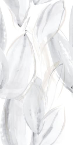 Emigres Blanco — 0 руб