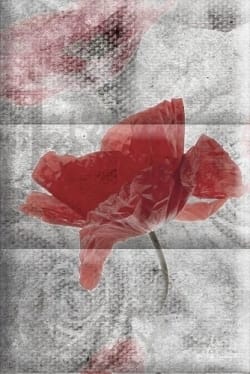 Absolut Keramika Composicion Opio C — 948 руб