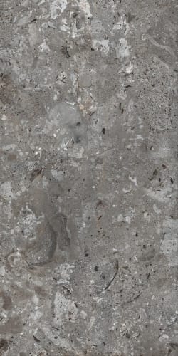 Bluezone THOLLOSS GRISS — 2310 руб