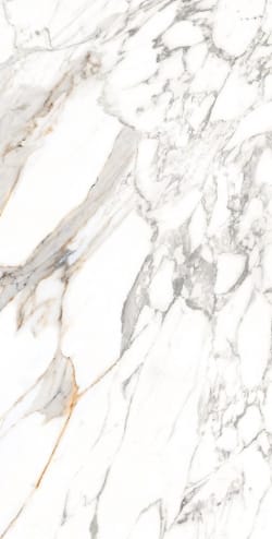 Bluezone SCOT WHITE — A GLOSSY — 2002 руб