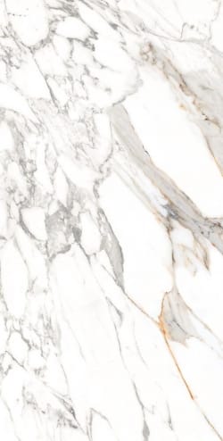 Bluezone SCOT WHITE — B GLOSSY — 2002 руб