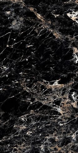 Bluezone BURBERRY BLACK — 2002 руб