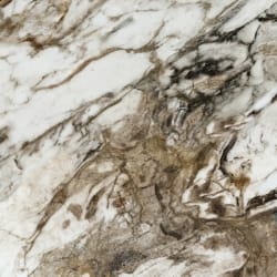 Naxos FANTASY LEV RET — 7525.76 руб