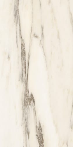 Naxos GRACE LEV.RET. — 7849.6 руб