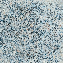 Naxos BOBOLI NAT.RET. — 5807.12 руб