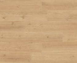 Caesar NUT — 6360 руб